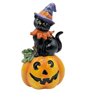 Black Cat Witch On Jack O Lantern By Heather Goldminc