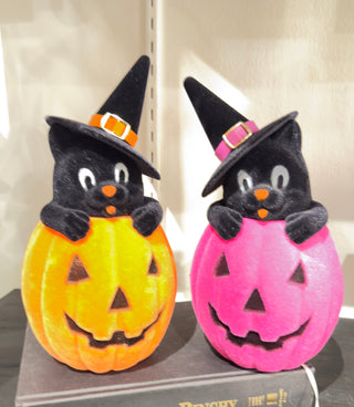 PRE-ORDER Raz Halloween 10" Flocked Black Cat in Jack-O-Lantern 4540849