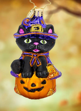 Pre-Order Christopher Radko 3" Halloween Witchy Whiskers Gem Ornament 1022239