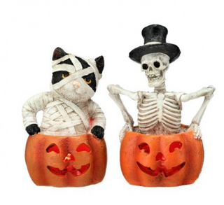 Halloween LED Resin Cat Skeleton in Pumpkin Set MTH13255
