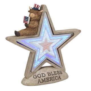 Pre-Order Spring 2026 B/O Infinity Lighted Americana Star w/ Highland Cow & Timer