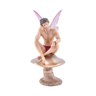Aaron I'm a Fairy Ornament Figurine 55-55425