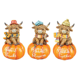 Pre-Order 5.25" Fall Resin Scarf Highland Cow on Pumpkin Set 45110