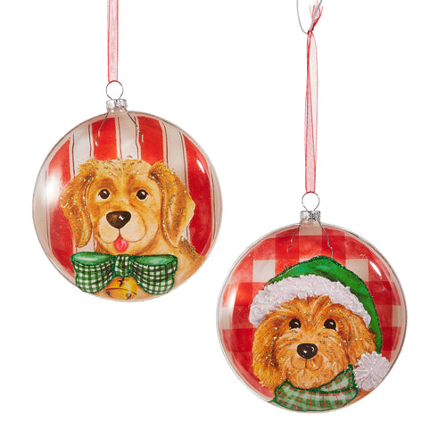 Pre-Order Raz 5" Dog Golden Retriever Doodle Holiday Disc Ornament 4524832