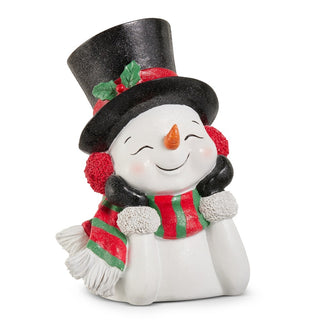 Pre-Order Jolly Cold Snowman 4612245
