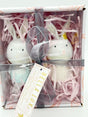 Bella Lux Boy Girl Bunny Ballet Easter Ceramic Pastel Ornament Set E9