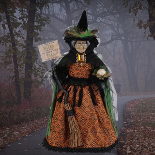 Grumpy Toad Witch HA18-27