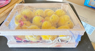 Mini Flocked Chicks with Crate set 65479