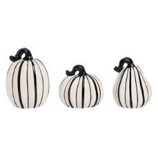 Pre-Order Slim Black & White Pumpkins S/3 H8801