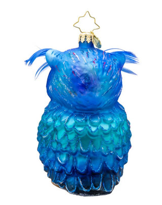 Pre-Order Christopher Radko 4.5" Regal Feathered Friend 1022176 Handmade in Europe