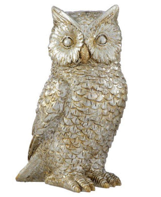 Champaign 8.5" Forrest Owl MTX77540