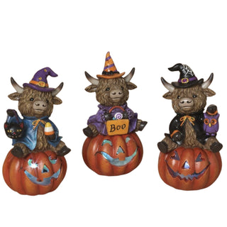 Lighted Resin Halloween Highland Cow Sitting on Pumpkin Set 2797300