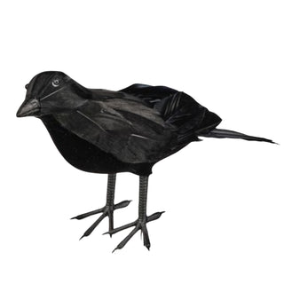 Halloween Spooky Feathered Black Crow