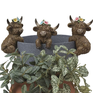 Pre-Order Spring 2026 Resin Highland Cow Pot Clingers Set of 3