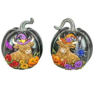 Pre-Order Halloween Black Magic Highland Cow Pumpkin Set 56042