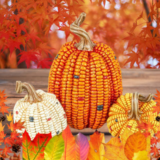 Maize Harvest Pumpkin Trio 45106