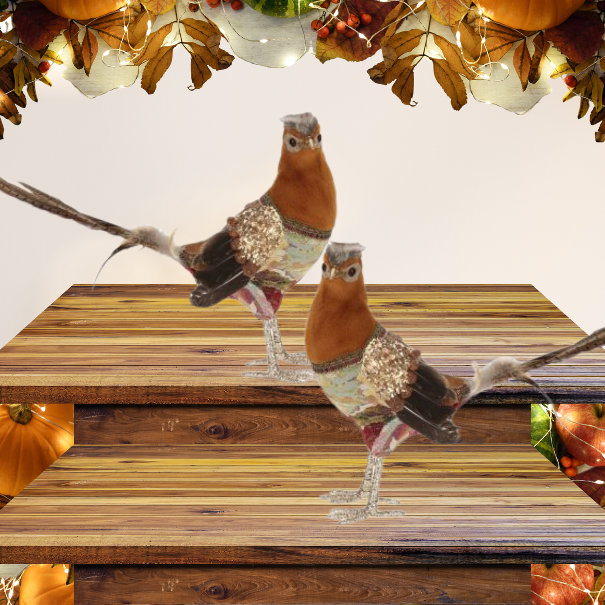 Fancy Pheasant Set of 2