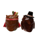 Thanksgiving Pilgrim Indian Owl Salt and Pepper Shaker Set