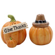 Thanksgiving Pilgram Pumpkin Salt & Pepper Set