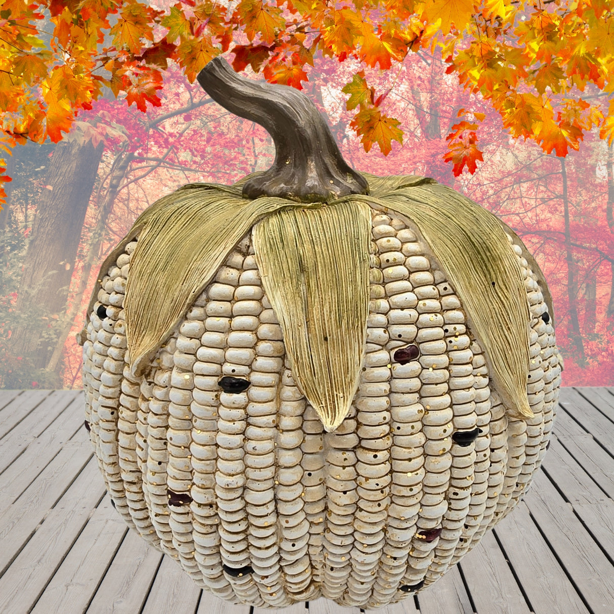 Harvest White Kernal Field Corn Pumpkin With Husks