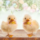 Raz Easter 8" Fluffy Yellow Ducks with Bow Set 4503440