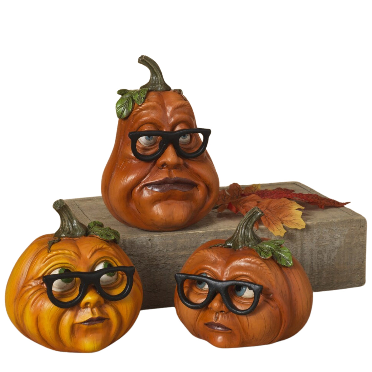 Pre-Order Gerson 5.3"H Resin Pumpkin Heads with Glasses Set 2603630