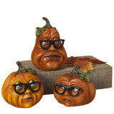 Pre-Order Gerson 5.3"H Resin Pumpkin Heads with Glasses Set 2603630