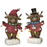 Pre-Order 8.8"H Lighted Resin Christmas Lights Highland Cow Set w/ Timer 2795210