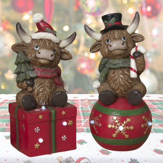 Pre-Order 20.8" Resin Christmas Highland Cow Ornament Present w/ Timer 2794820