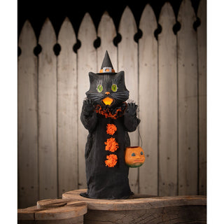 Medium Scaredy Cat Ghoul Black Cat TJ4303